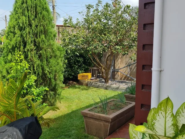 Outdoor Garden Area